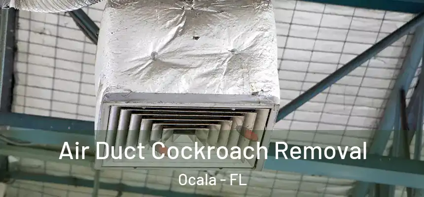 Air Duct Cockroach Removal Ocala - FL