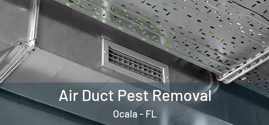 Air Duct Pest Removal Ocala - FL