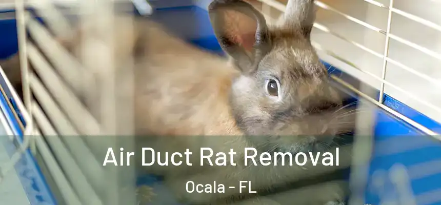 Air Duct Rat Removal Ocala - FL