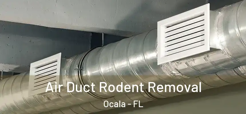 Air Duct Rodent Removal Ocala - FL