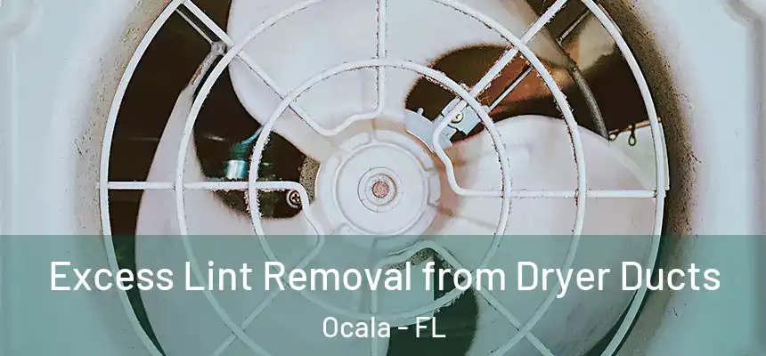 Excess Lint Removal from Dryer Ducts Ocala - FL