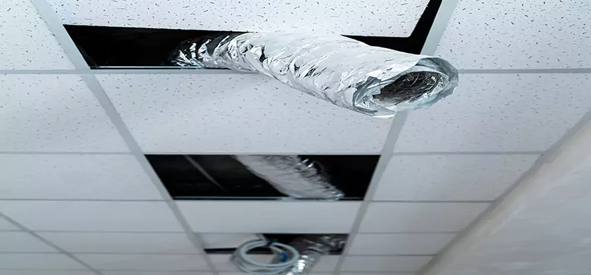 Our Air Duct Pet Hair Removal Services in Ocala, FL