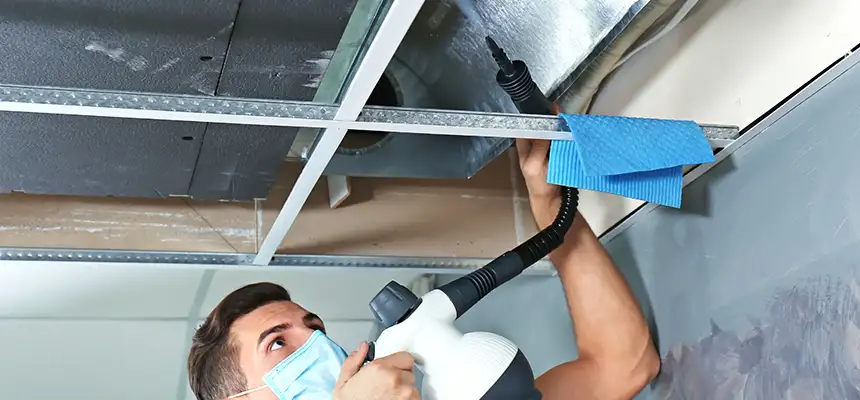 Our Air Duct Rodent Removal Services in Ocala, FL