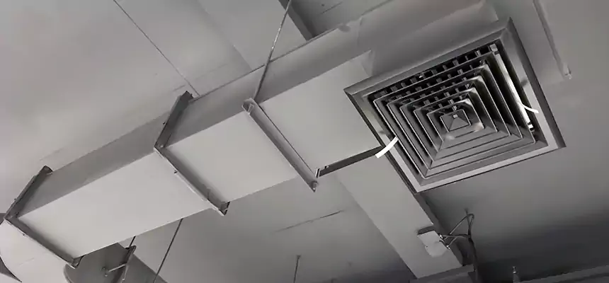 Restorative Allergy Relief Vent Cleaning – Coil, Blower & Housing Detail in Ocala