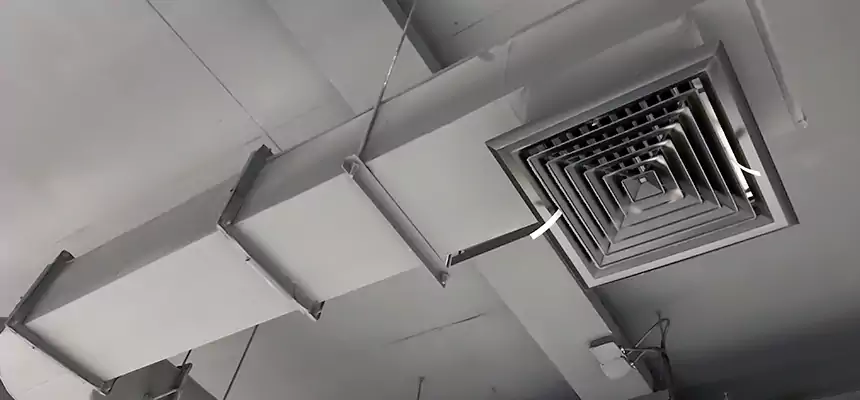 Our Pest Removal From Ducts Services in Ocala, FL