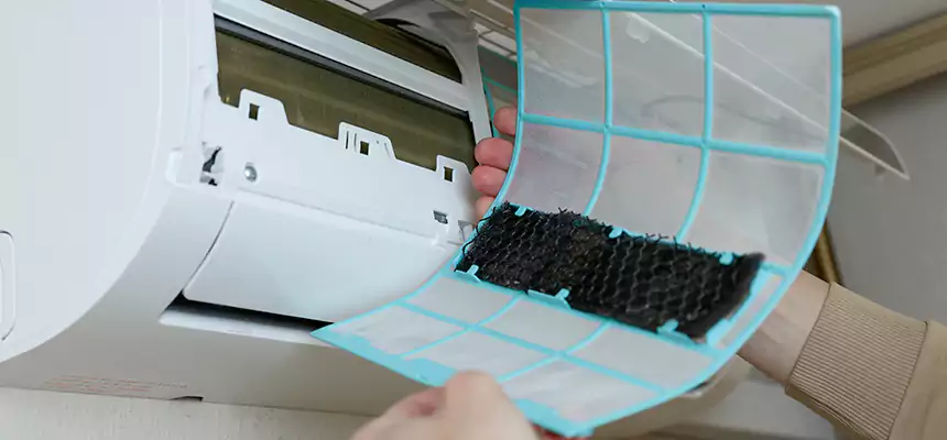 Gentle Ductwork Odor-Control Pet Dander Duct Cleaning in Ocala, FL