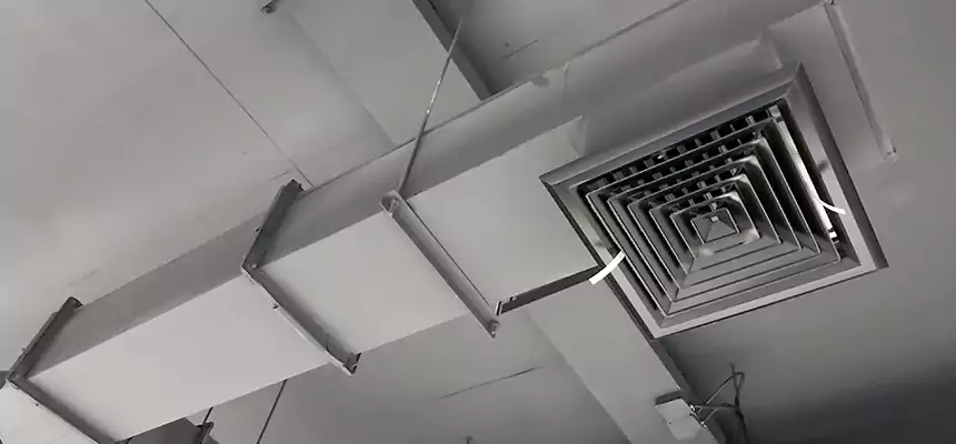 Our Rodent Droppings In Vents Services in Ocala, FL