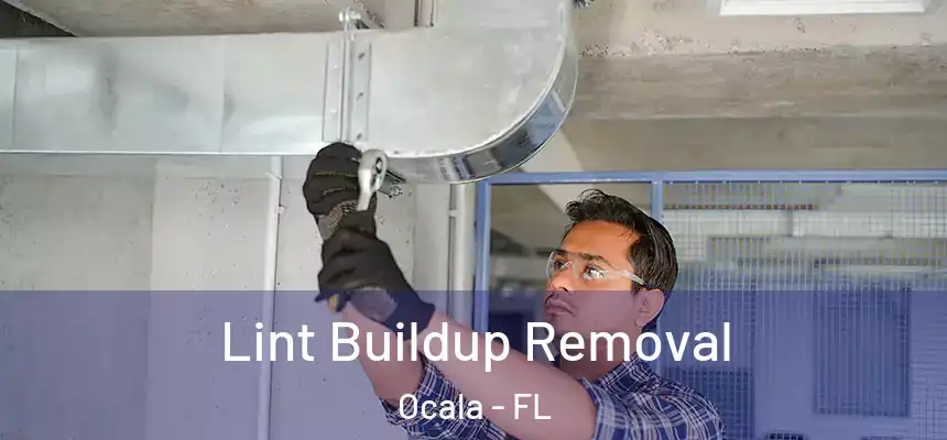 Lint Buildup Removal Ocala - FL