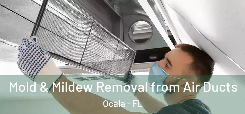 Mold & Mildew Removal from Air Ducts Ocala - FL