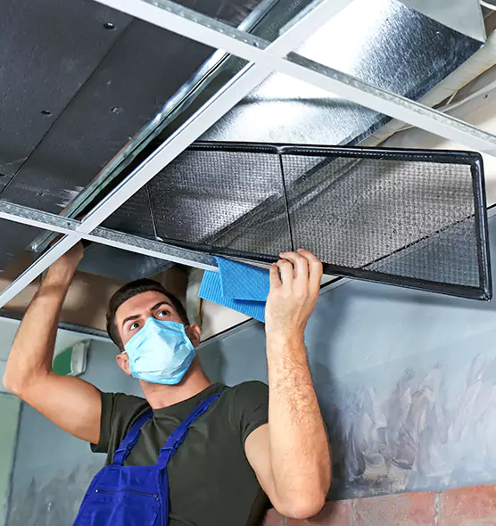 About Air Duct Bacteria Removal in Ocala