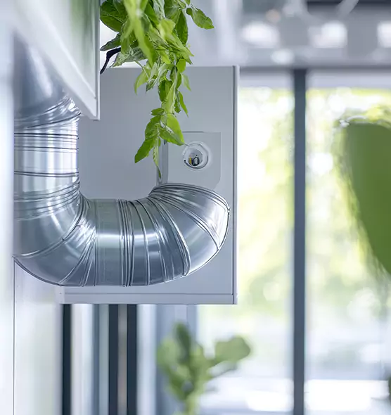 Professional Eco-Friendly Duct Cleaning Services in Ocala, FL