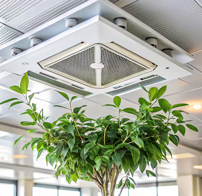 Why Homeowners & Businesses Trust Us in Ocala, FL