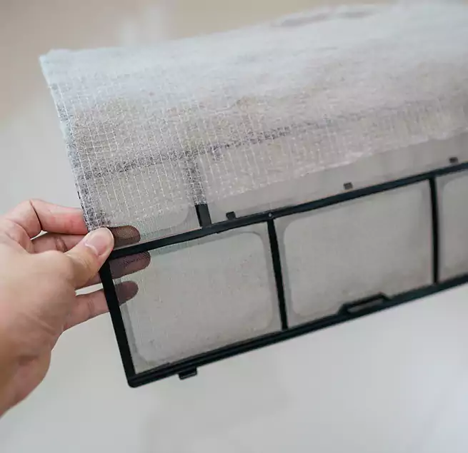 Why Homeowners & Businesses Trust Us in Ocala, FL?