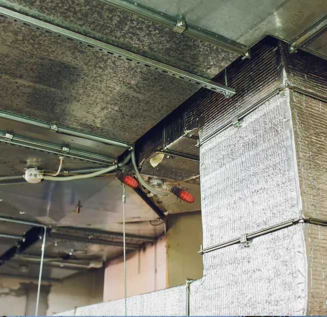 Why Homeowners & Businesses Trust Us Ocala, FL?