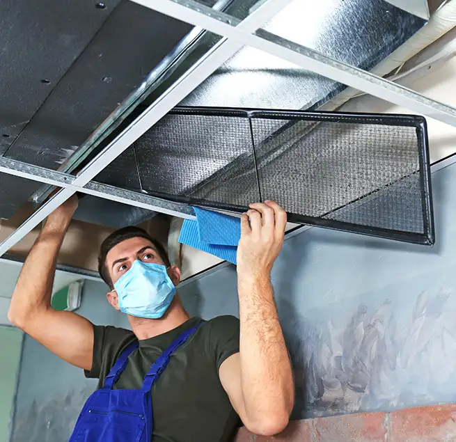 Why Homeowners & Businesses Trust Us in Ocala, FL?