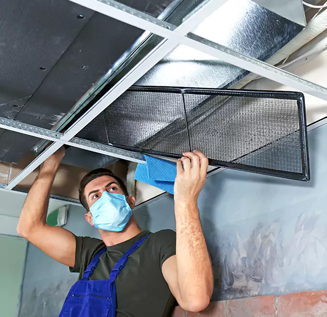 Why Homeowners & Businesses Trust Us in Ocala, FL?